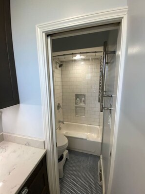 Combined shower/tub, hair dryer