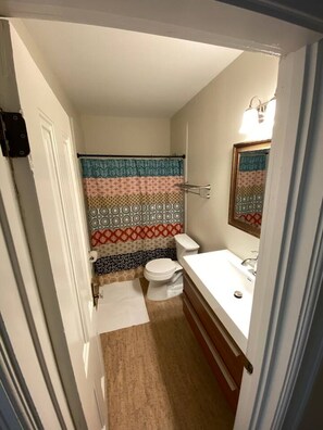 Combined shower/bathtub, hair dryer