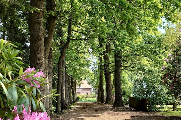 Àrea exterior de l'allotjament