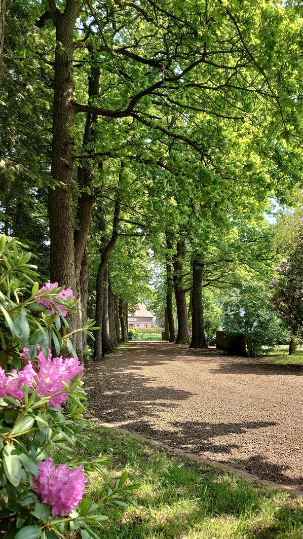 المنطقة المحيطة بالمنشأة