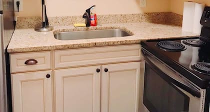 Beautiful apartment in Historic Downtown Location