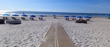 Playa en los alrededores y camastros