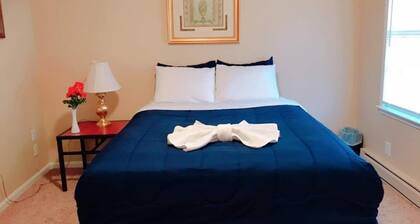 Beautiful Apartment Gem in Historical Downtown Area!!