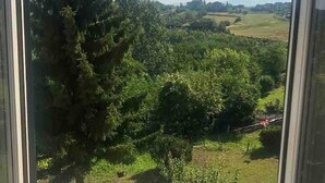 Blick aus einem Fenster auf eine grüne Landschaft mit Bäumen und Feldern.