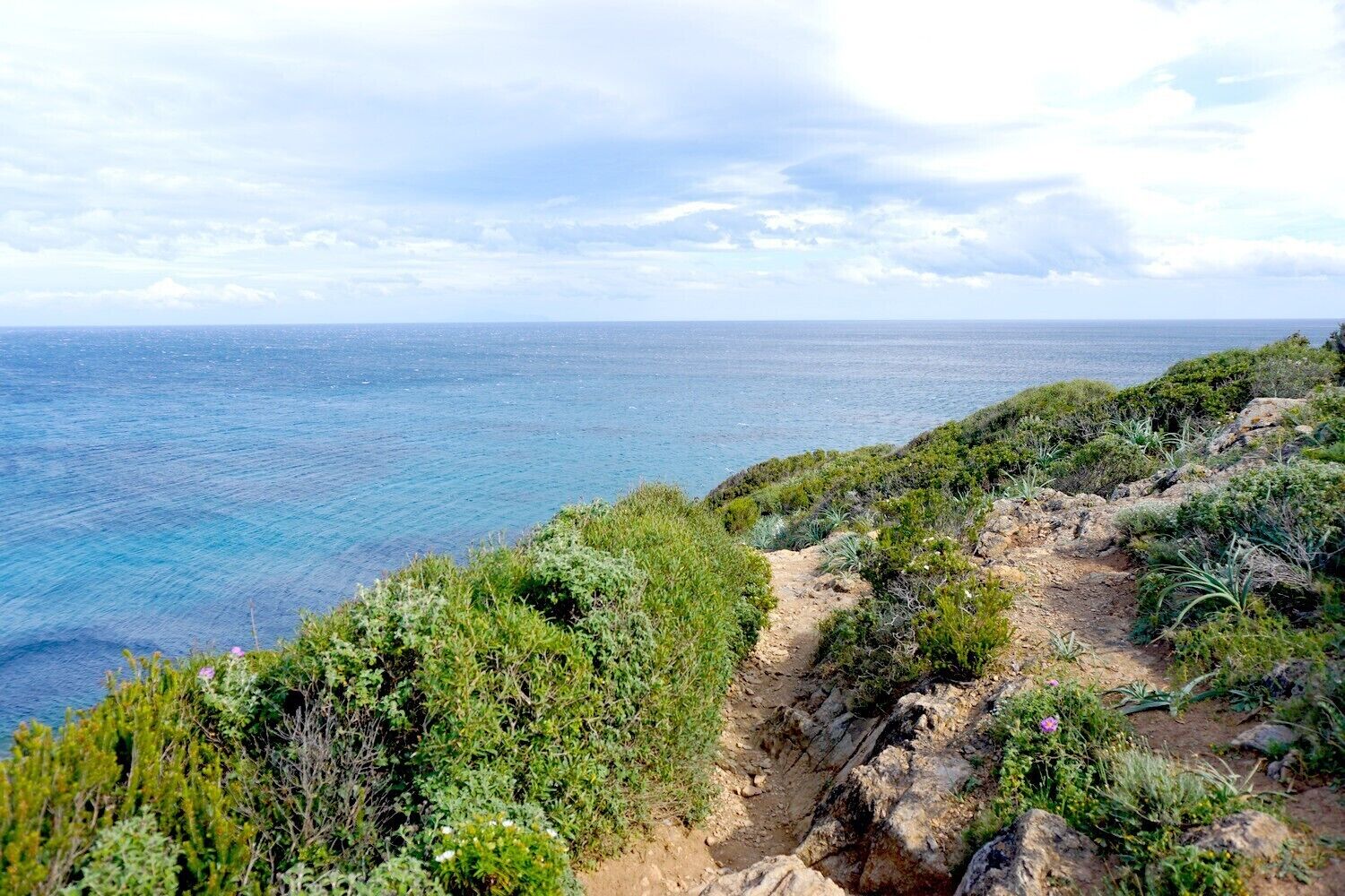 A coastal path with rocky terrain and dense vegetation.