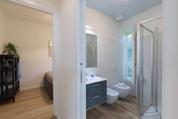 Shower, hair dryer, bidet, towels