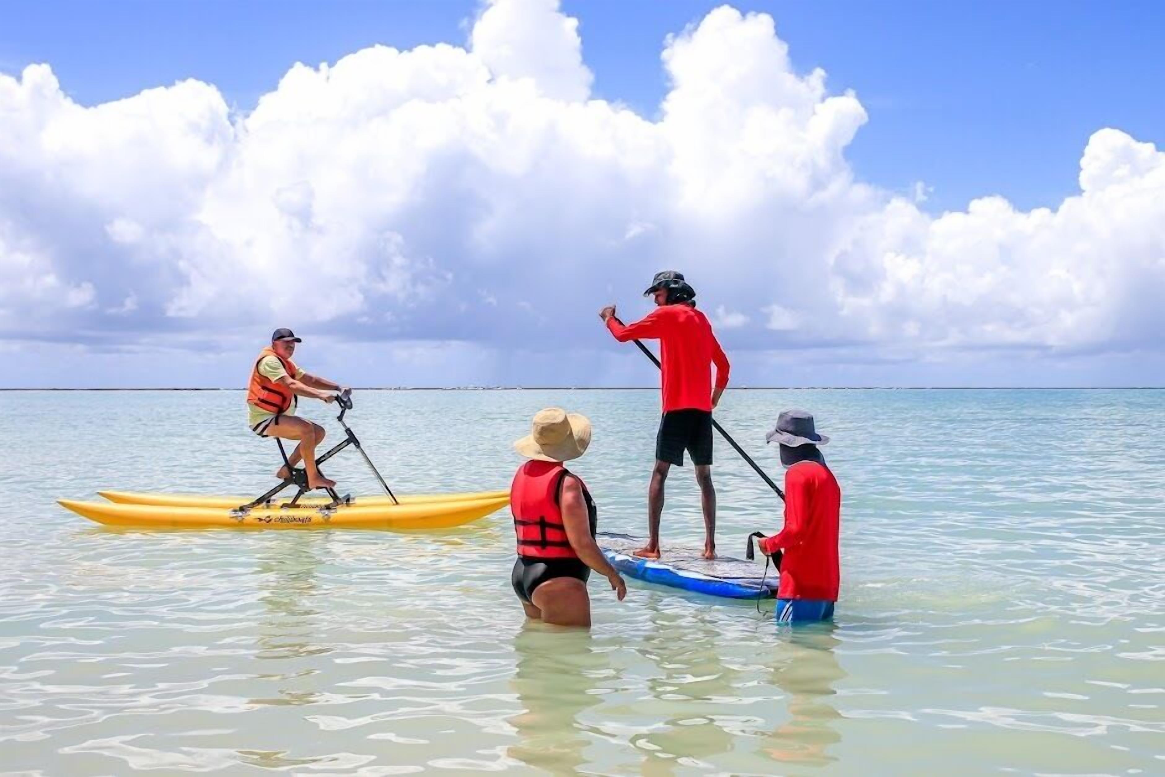 A group of people on paddleboards in calm waters with a clear sky.