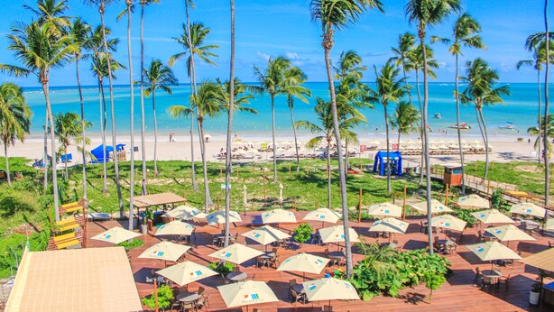 A beachside patio with multiple tables and umbrellas, overlooking the ocean and palm trees.