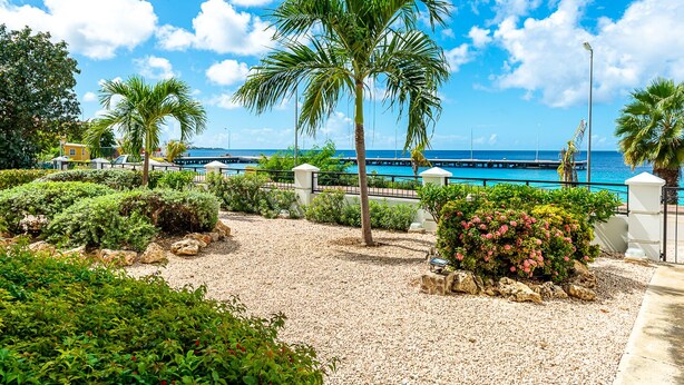 A coastal promenade with palm trees, a pebbled walkway, and a view of the sea. - Oceanfront large 4-p luxury groundfloor apartment  (Kralendijk)
