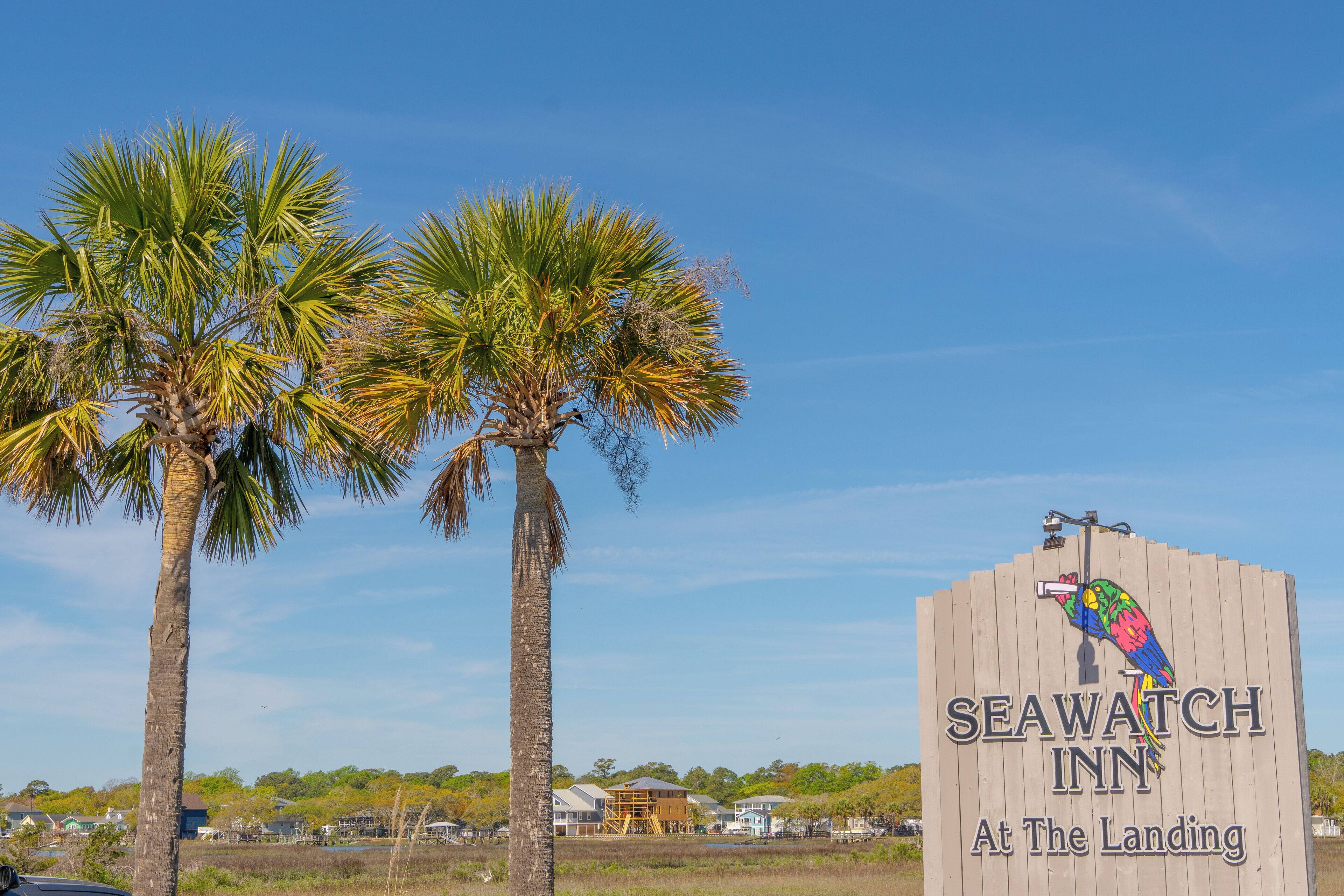 Une enseigne en bois pour le Seawatch Inn, ornée d’un logo représentant un oiseau aux couleurs vives, de palmiers et d’un ciel dégagé.