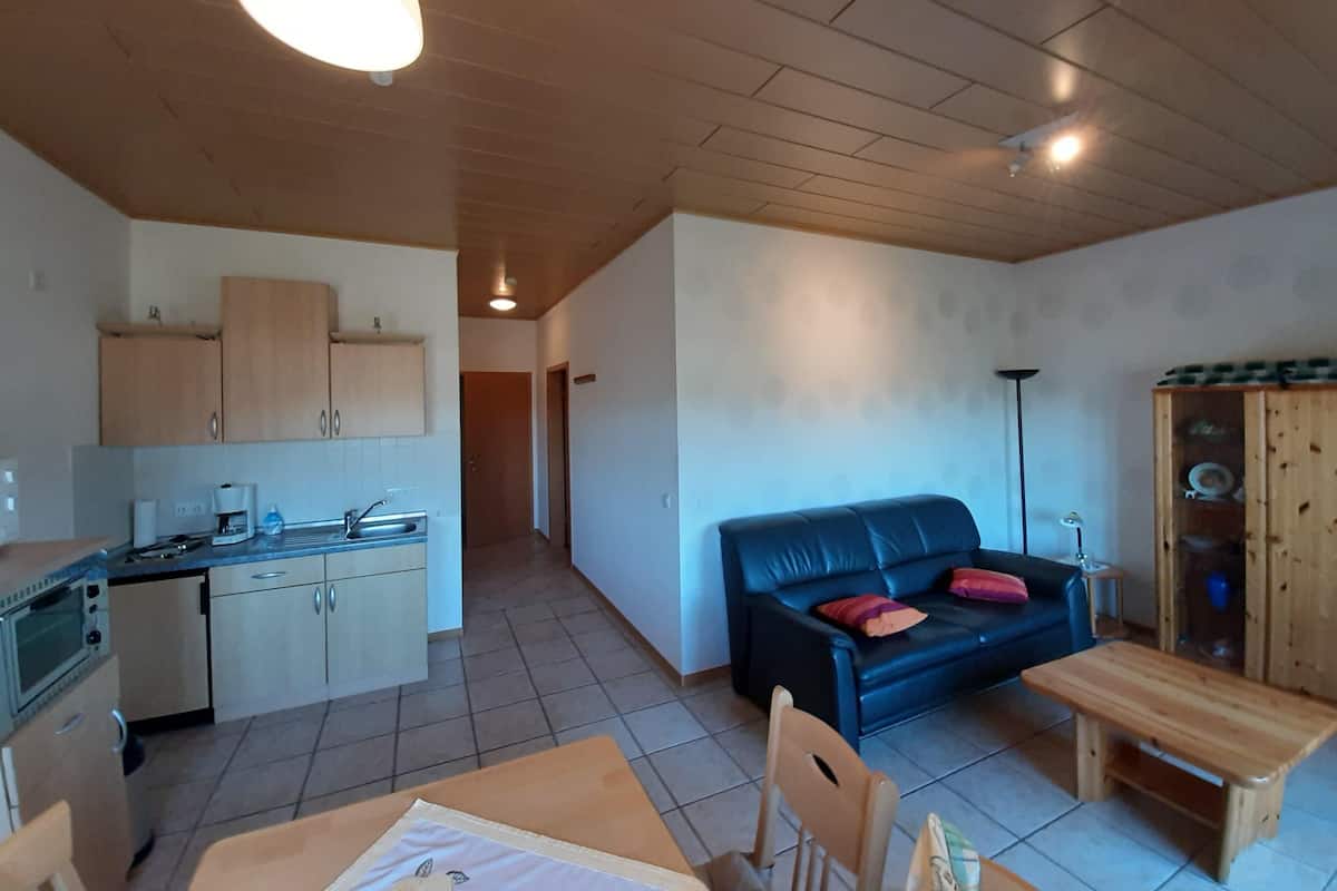 En kompakt opholdsstue med tekøkken, sofa, spisebord og et træskab.