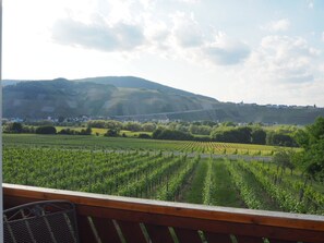 Apartment, Private Bathroom (FeWo mit Moselblick 1) | Balcony view - Weingut & Gästehaus Andreas Erz (Brauneberg)