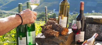 Weingut & Gästehaus Andreas Erz
