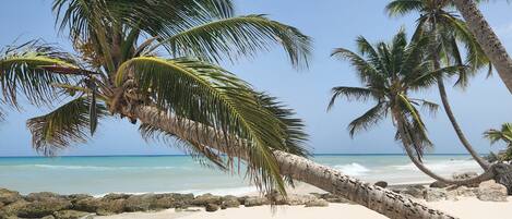 In Strandnähe, Strandtücher