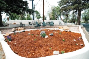 Terrein van de accommodatie