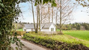 A rural road leading to a white house with a sloped roof, surrounded by greenery and trees.