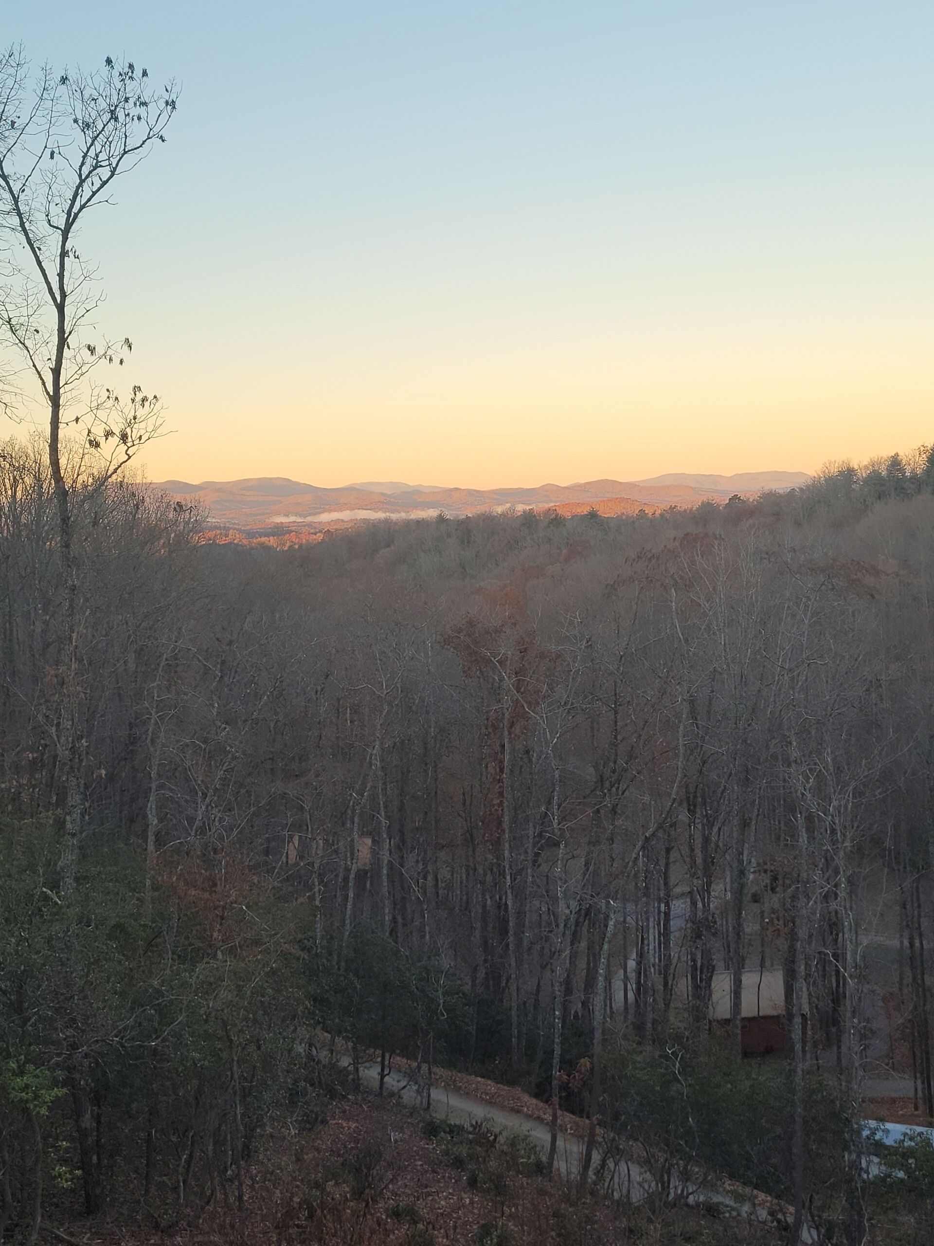 A forested area with a dirt path and a distant view of hills.