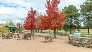 Outdoor dining - Club Wyndham Bison Ranch - 2 Bedroom (Overgarrd)