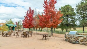 Un espace extérieur aménagé en terrasse, avec des tables et des chaises, entouré d’arbres aux feuilles d’automne.
