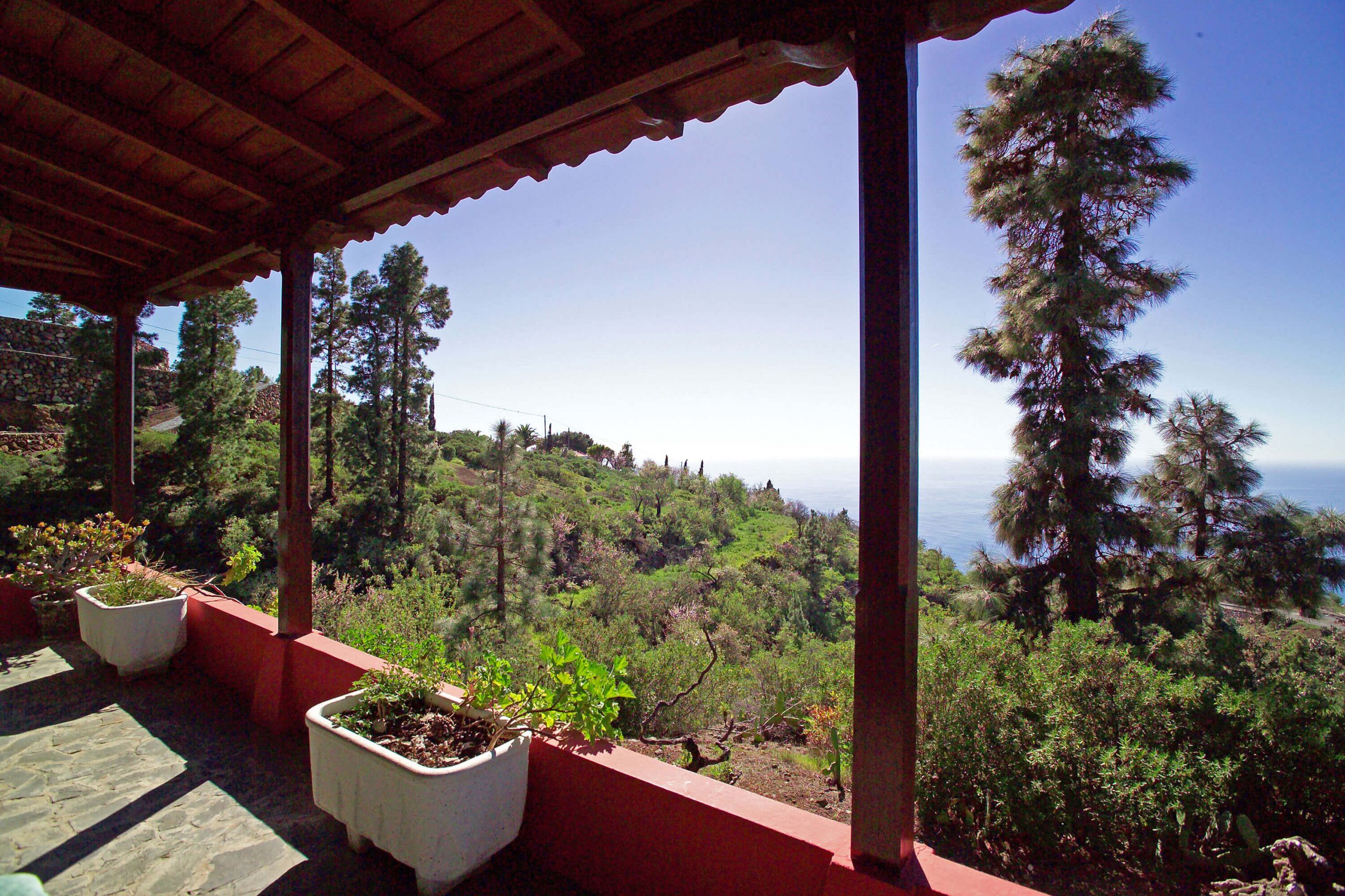 Un espacio al aire libre cubierto, con plantas en macetas y vistas a un paisaje montañoso.