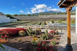 A landscaped garden with cacti and red flowers, a stone wall, and a view of mountains. - Casa Spica (Los Llanos de Aridane)