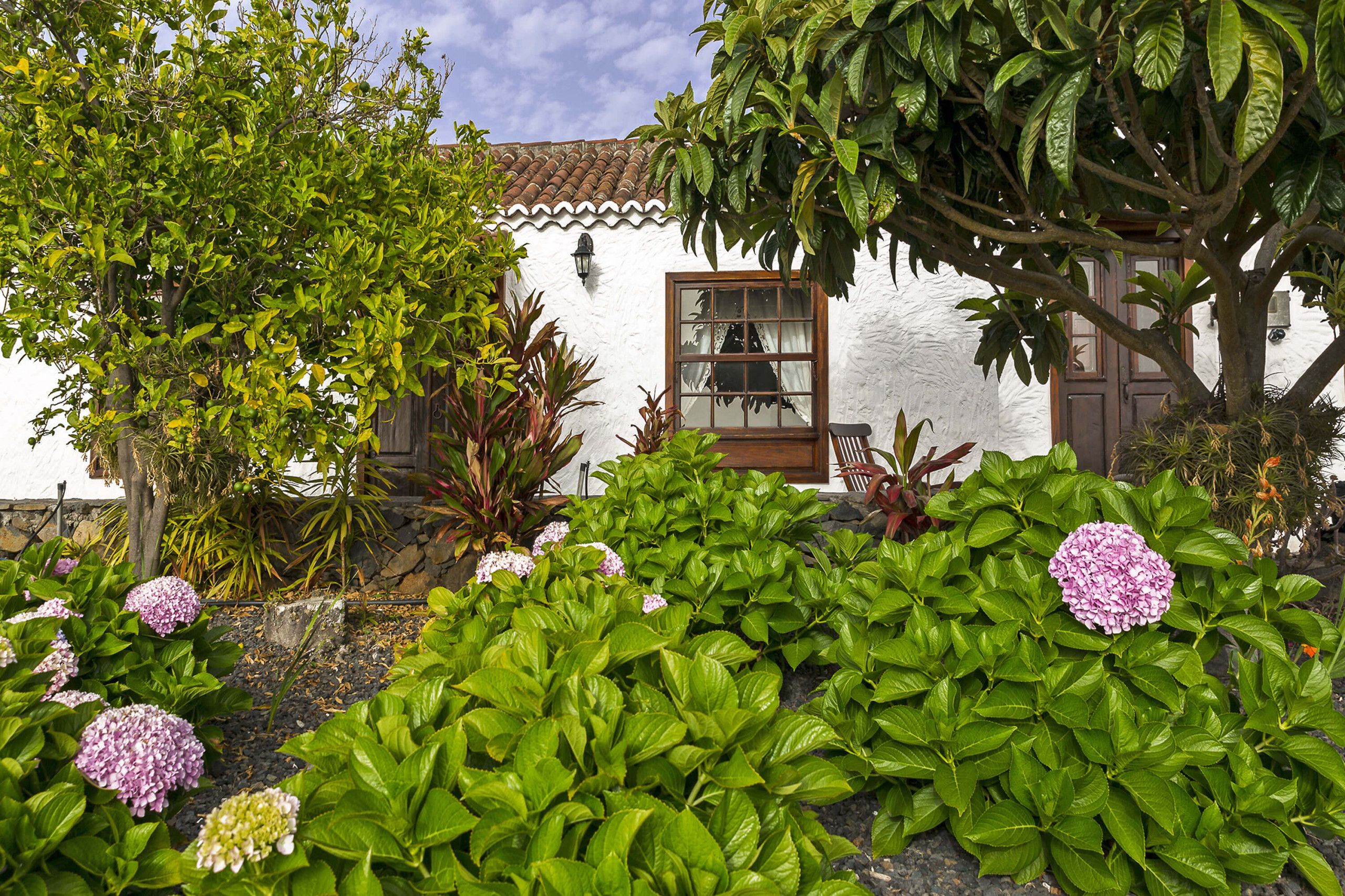 A white building with a tiled roof, surrounded by lush greenery and flowering plants.