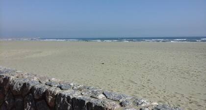 Studio rdc 17 m2 Bord de plage et terrasse abritée