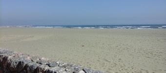 Ground floor studio 17 m2 Beachfront and sheltered terrace