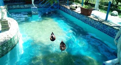 Naturalistic area, near the beach and in the Taormina interland