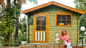 A wooden cabin with a green exterior, a wooden door, and a window.