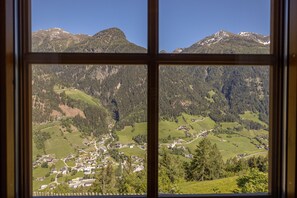 Interior - Apartment directly on the mountain, with a wonderful view of the mountains (Mörtschach)