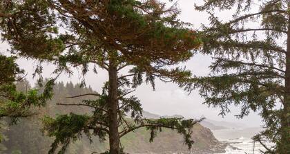 Nautilus at Crook Point