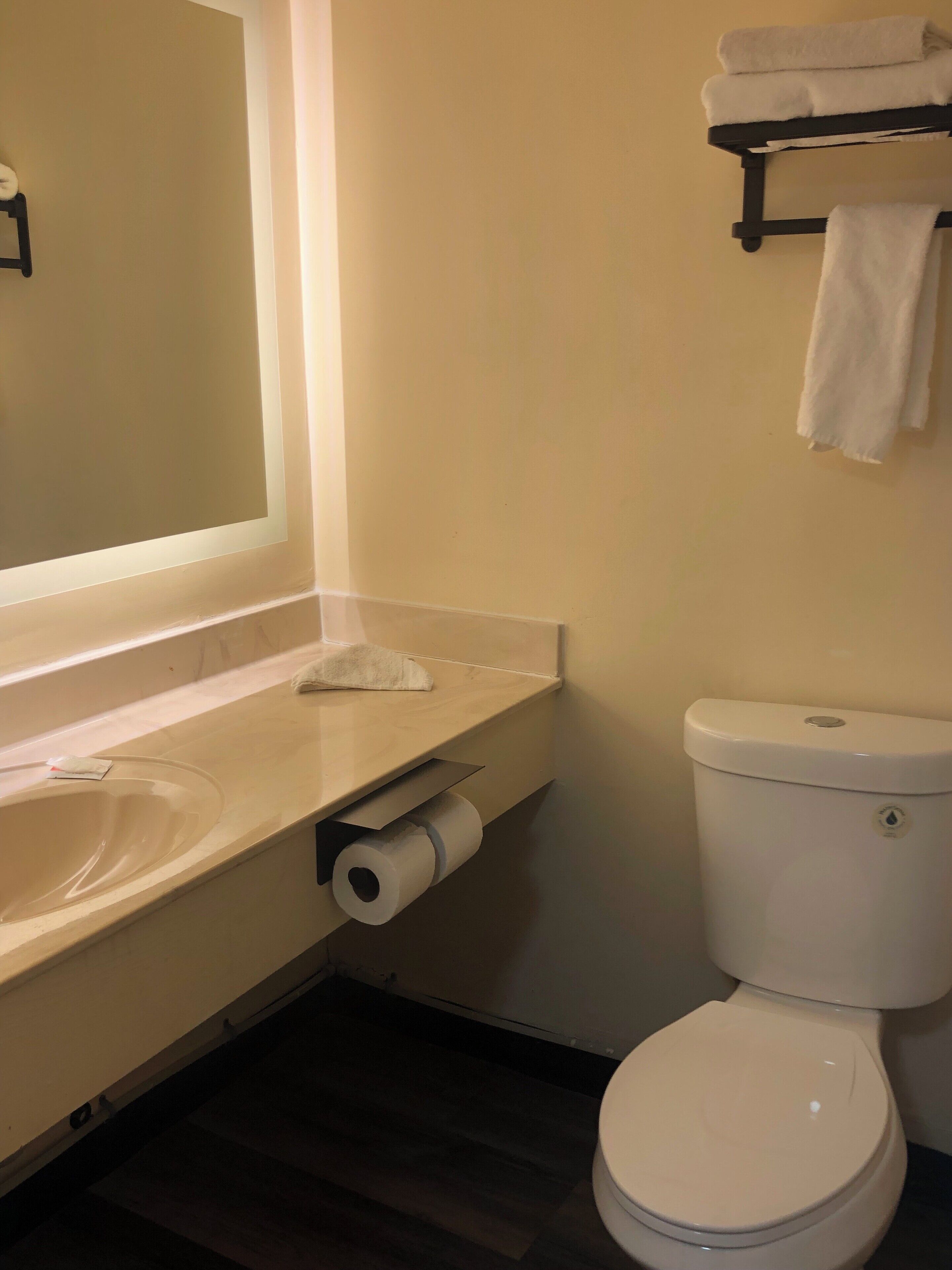 A bathroom with a sink, toilet, and a towel rack.