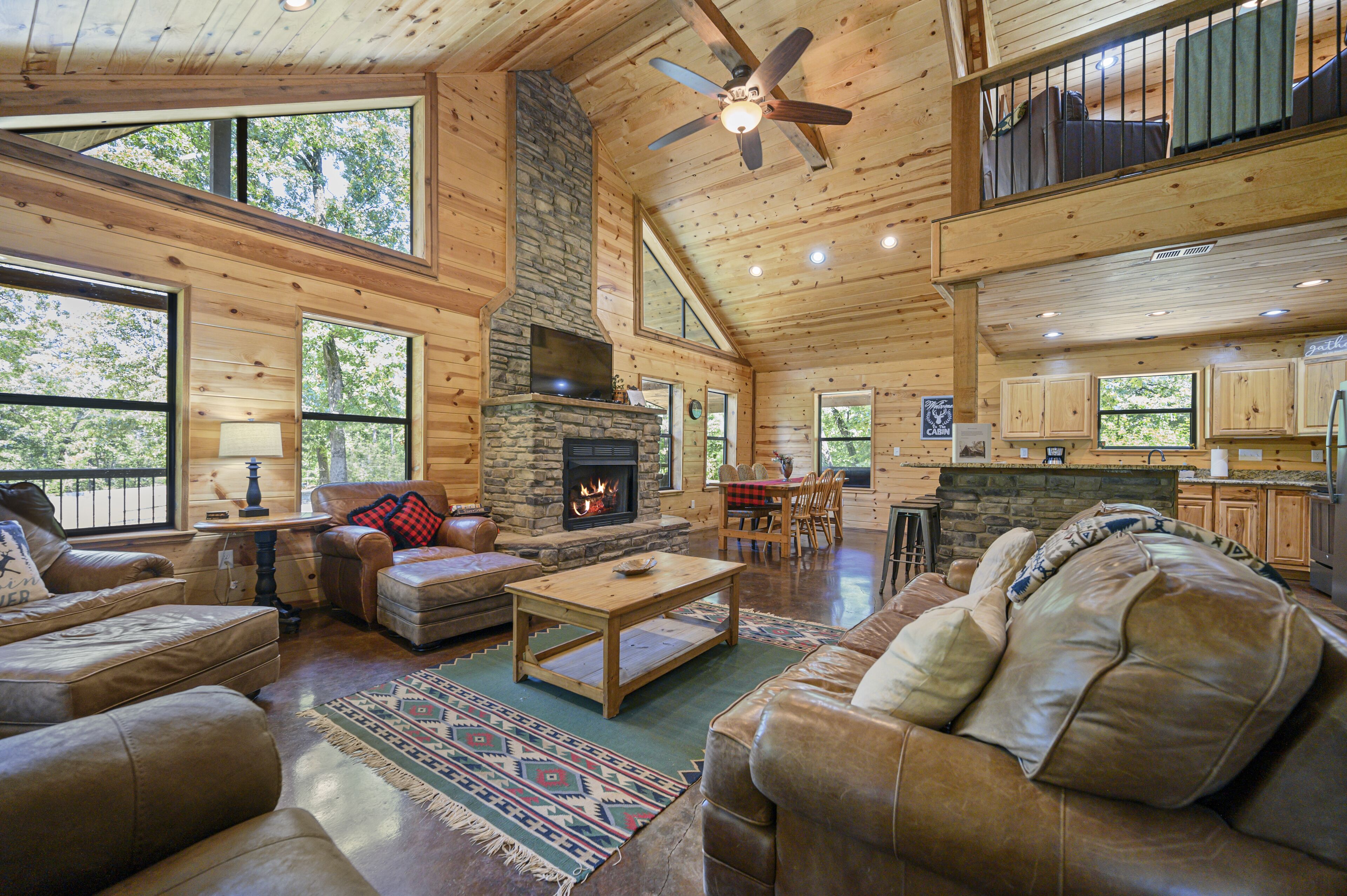 Smart TV, chimenea, reproductor de DVD y libros 