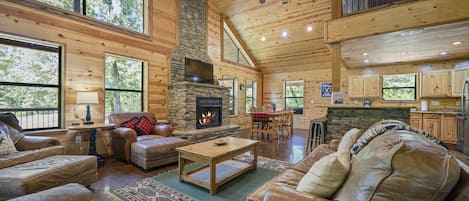 Smart TV, chimenea, reproductor de DVD y libros