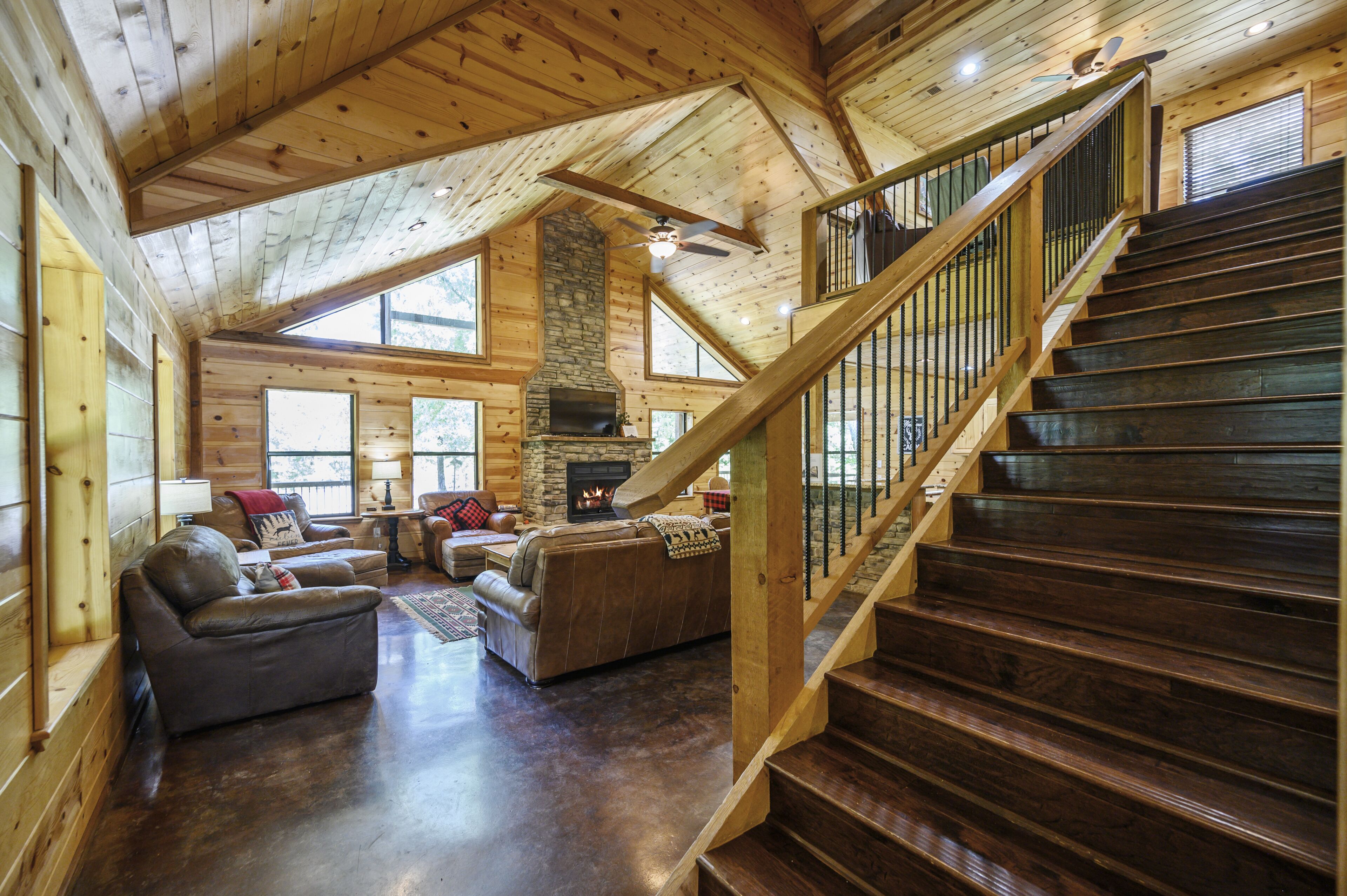 Una Smart TV, una chimenea, un reproductor de DVD, libros