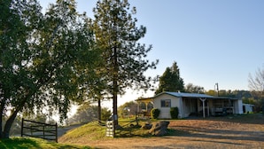 Eine rustikale Holzhütte mit Veranda, umgeben von Bäumen und einer Schotterzufahrt.