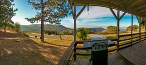 Überdachter Außenbereich mit Grill, Holzterrasse und Blick auf eine Straße und Hügel.