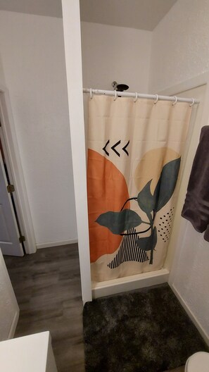 Douche, séchoir à cheveux, serviettes fournies, savon