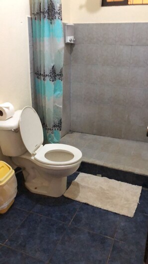 Regadera, toallas, jabón, shampoo 