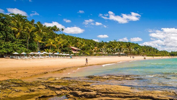 A beach with clear turquoise waters, a sandy shore, and a line of palm trees.
