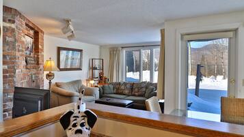 TV, fireplace, DVD player