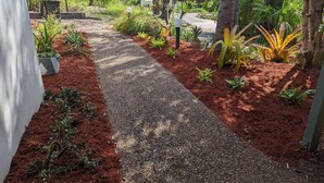 A pathway leading to a beach with a view of the ocean, surrounded by tropical plants and trees.