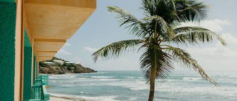 A beach with a palm tree and a building with a green and beige facade.