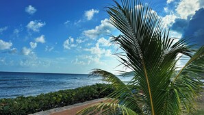Vista costera con cielo despejado, palmeras y un paseo pavimentado a la orilla del agua.