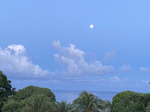 Beach nearby, beach towels - In the heart of West End, Roatan - Mariposa Lodge - Unit 4 (West End)