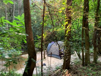 Breathtaking Mountainside Farm Escape -10 min to VA TECH, 20 to Aquatic Center