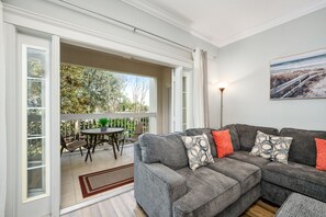 Flat-screen TV, DVD player