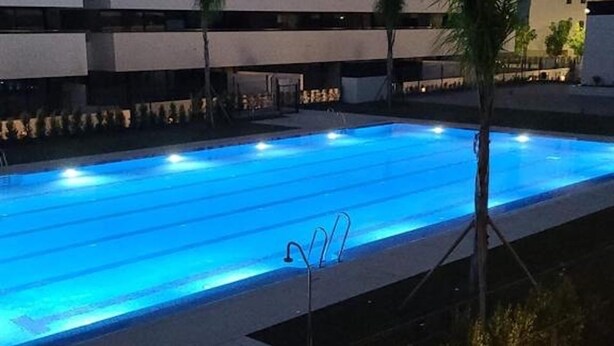 Una piscina con superficie de agua cristalina, rodeada por una valla y palmeras.