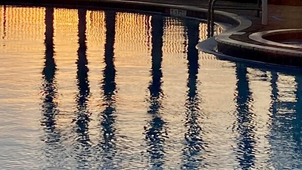 Una piscina con palmeras y un atardecer de fondo.